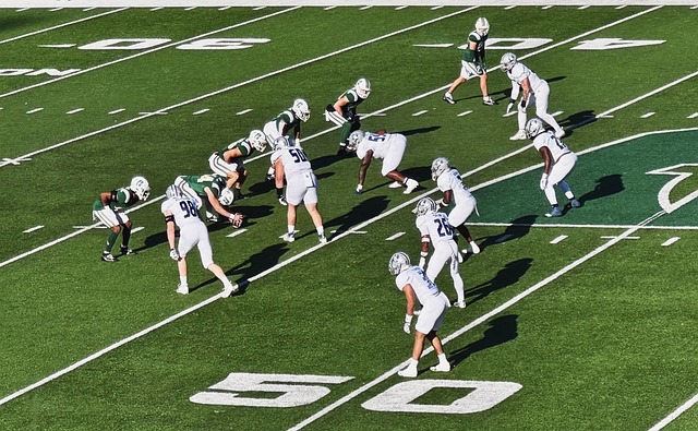 帅更替风波 帅更替风波