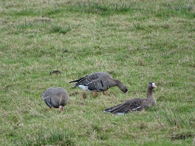 折的价格便 折的价格便